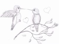 Hummingbirds in love
